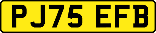 PJ75EFB
