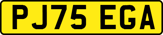 PJ75EGA