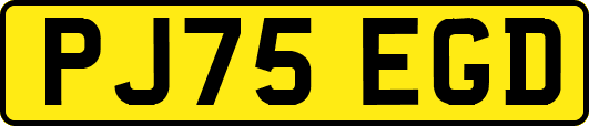 PJ75EGD