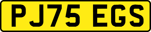 PJ75EGS