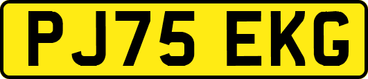 PJ75EKG