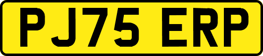 PJ75ERP