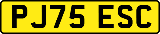 PJ75ESC