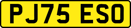 PJ75ESO