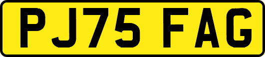 PJ75FAG