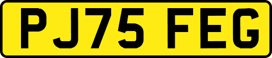 PJ75FEG
