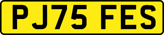 PJ75FES