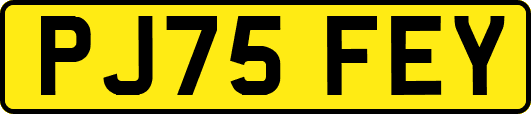 PJ75FEY