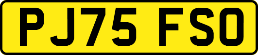 PJ75FSO