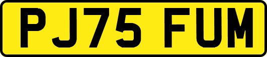 PJ75FUM