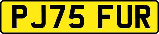 PJ75FUR