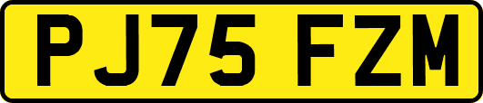 PJ75FZM