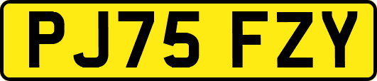 PJ75FZY