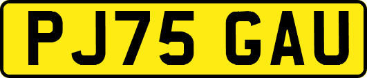 PJ75GAU