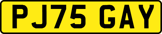 PJ75GAY