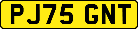 PJ75GNT
