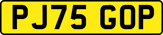 PJ75GOP
