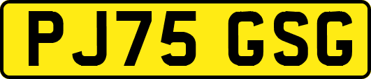 PJ75GSG