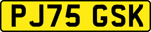 PJ75GSK
