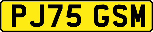 PJ75GSM