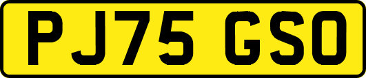 PJ75GSO