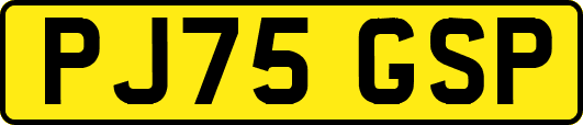 PJ75GSP