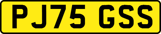 PJ75GSS