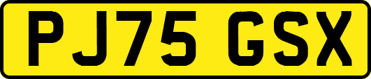 PJ75GSX
