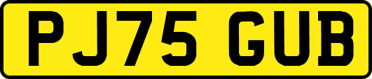 PJ75GUB