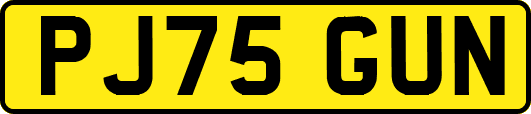 PJ75GUN