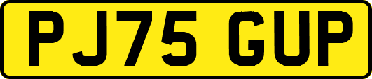 PJ75GUP