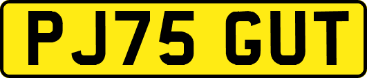 PJ75GUT