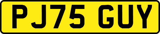 PJ75GUY