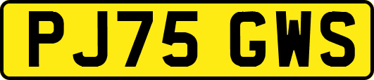 PJ75GWS