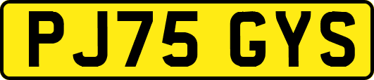 PJ75GYS