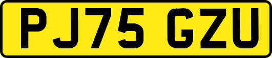 PJ75GZU