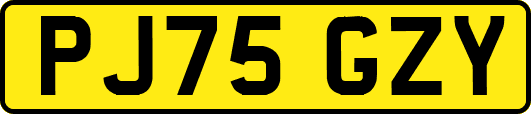 PJ75GZY