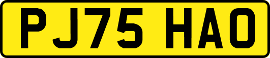 PJ75HAO