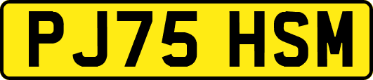 PJ75HSM