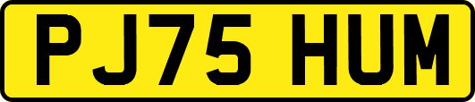 PJ75HUM
