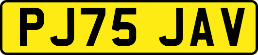 PJ75JAV