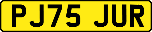 PJ75JUR