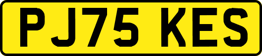 PJ75KES