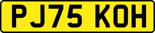 PJ75KOH