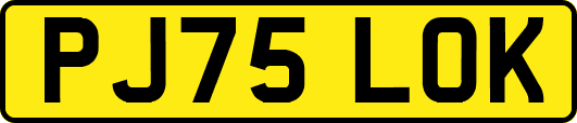 PJ75LOK