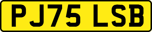 PJ75LSB
