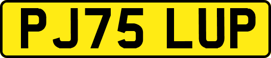 PJ75LUP