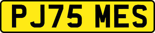 PJ75MES