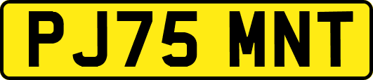 PJ75MNT