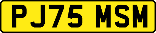 PJ75MSM